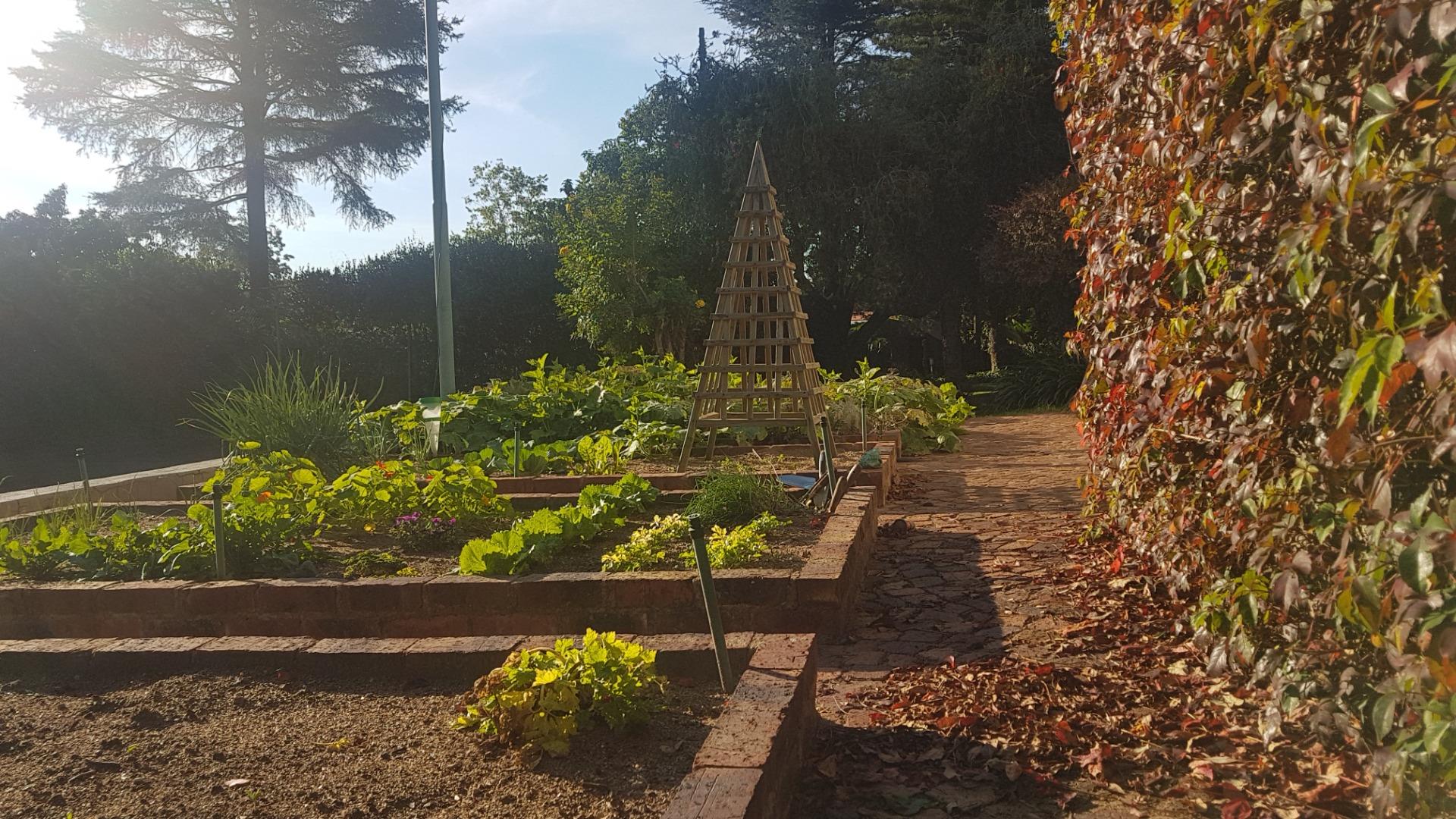 751377_Groentetuin.jpg