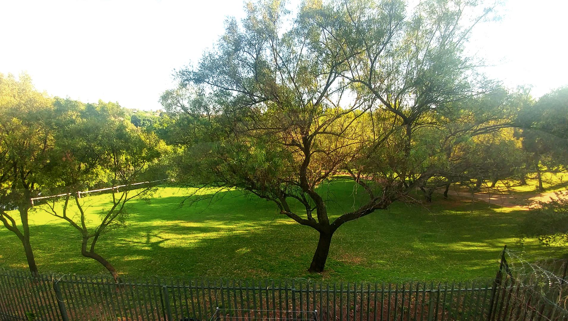 751543_UJ_Grounds2.jpg