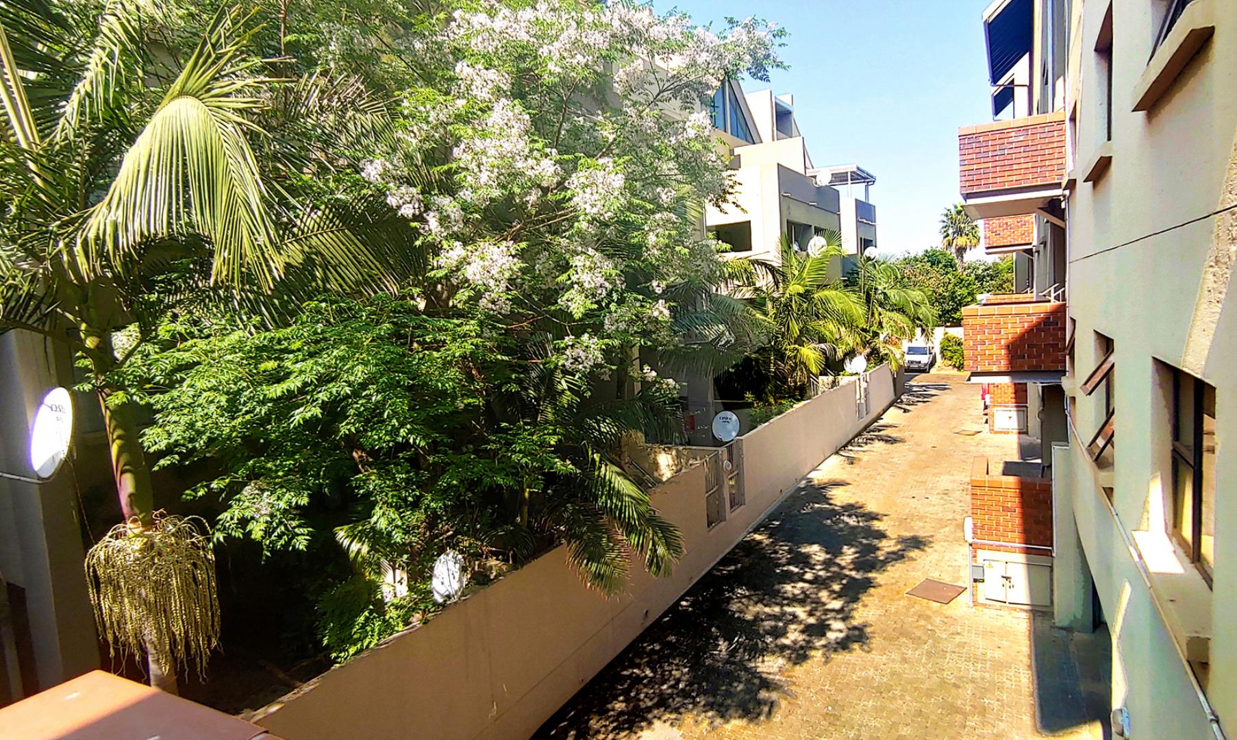 751583_Brae2.jpg