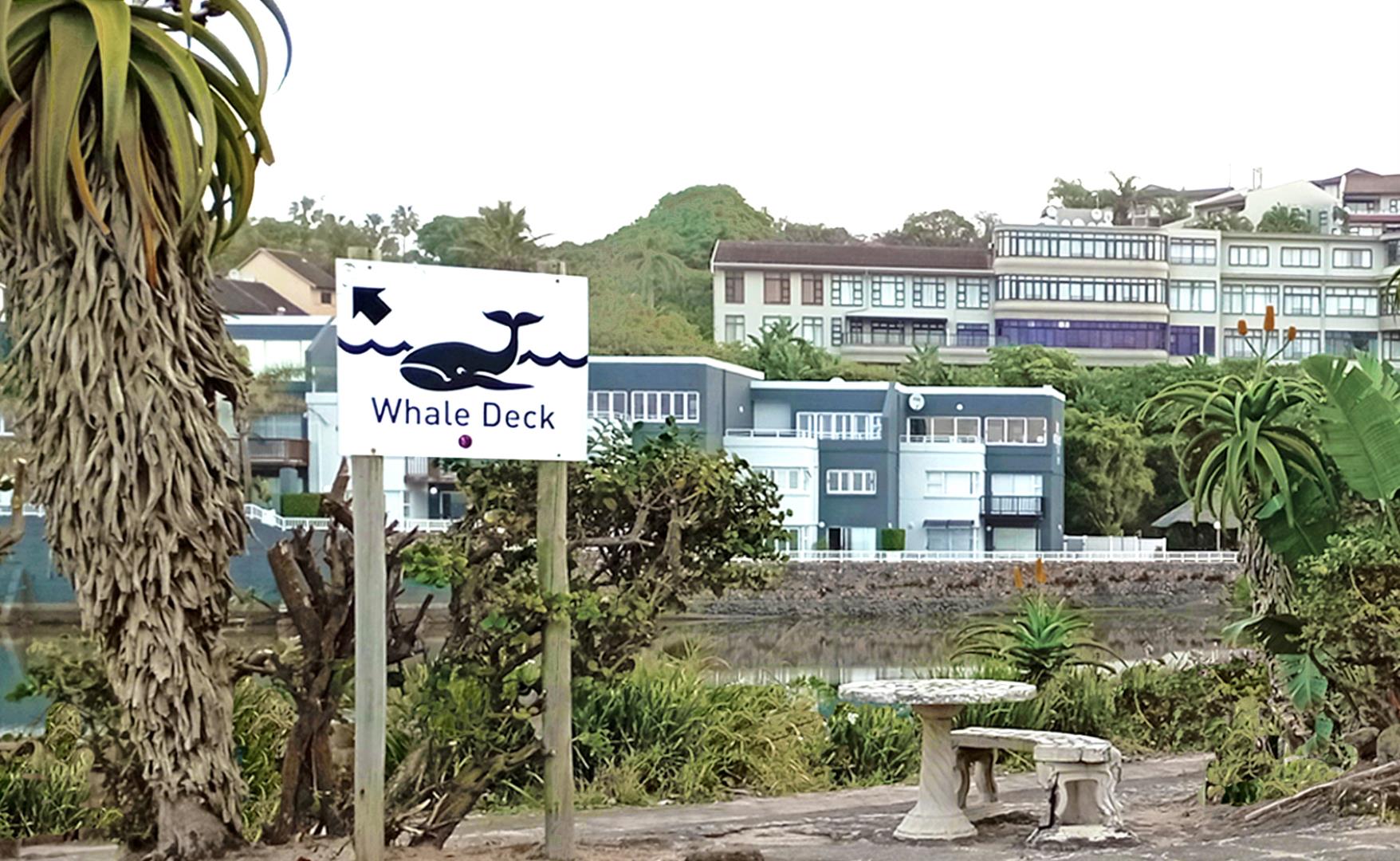 766394_signage_whale.jpg