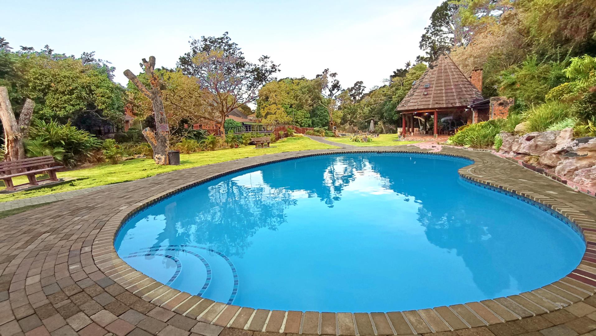 768779_pool2.jpg