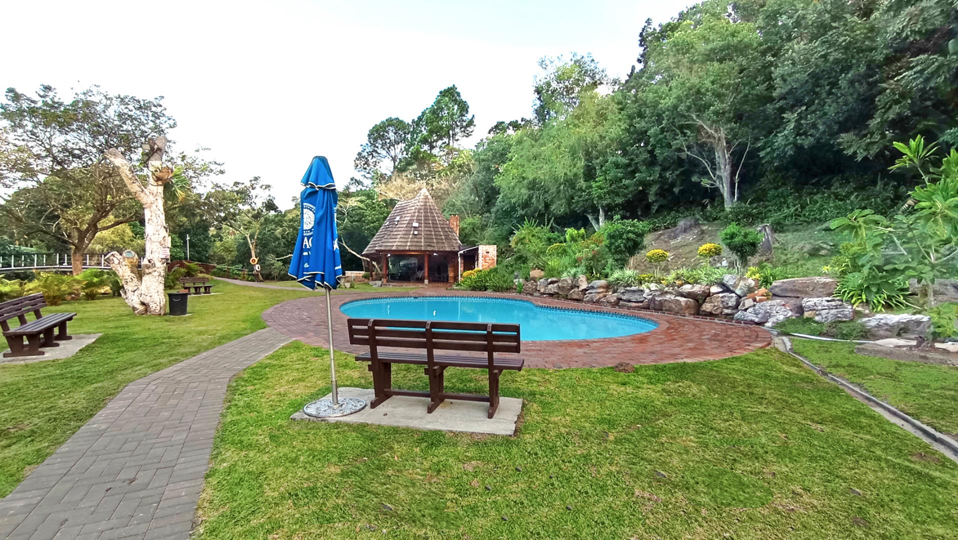 768779_pool3.jpg