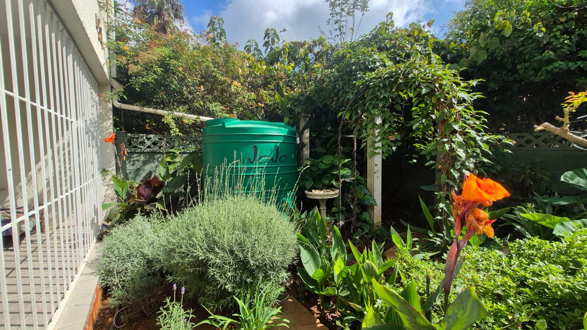 768801_765288_JoJO_en_Tuin_1.jpg