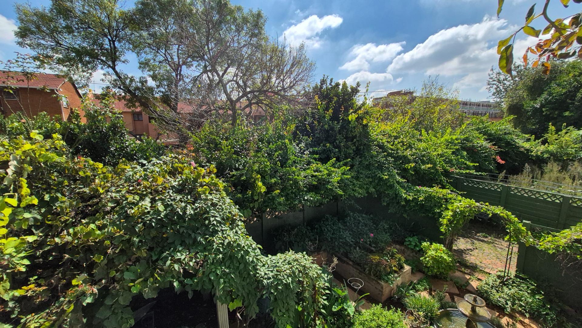 768802_765287_Tuin_view.jpg