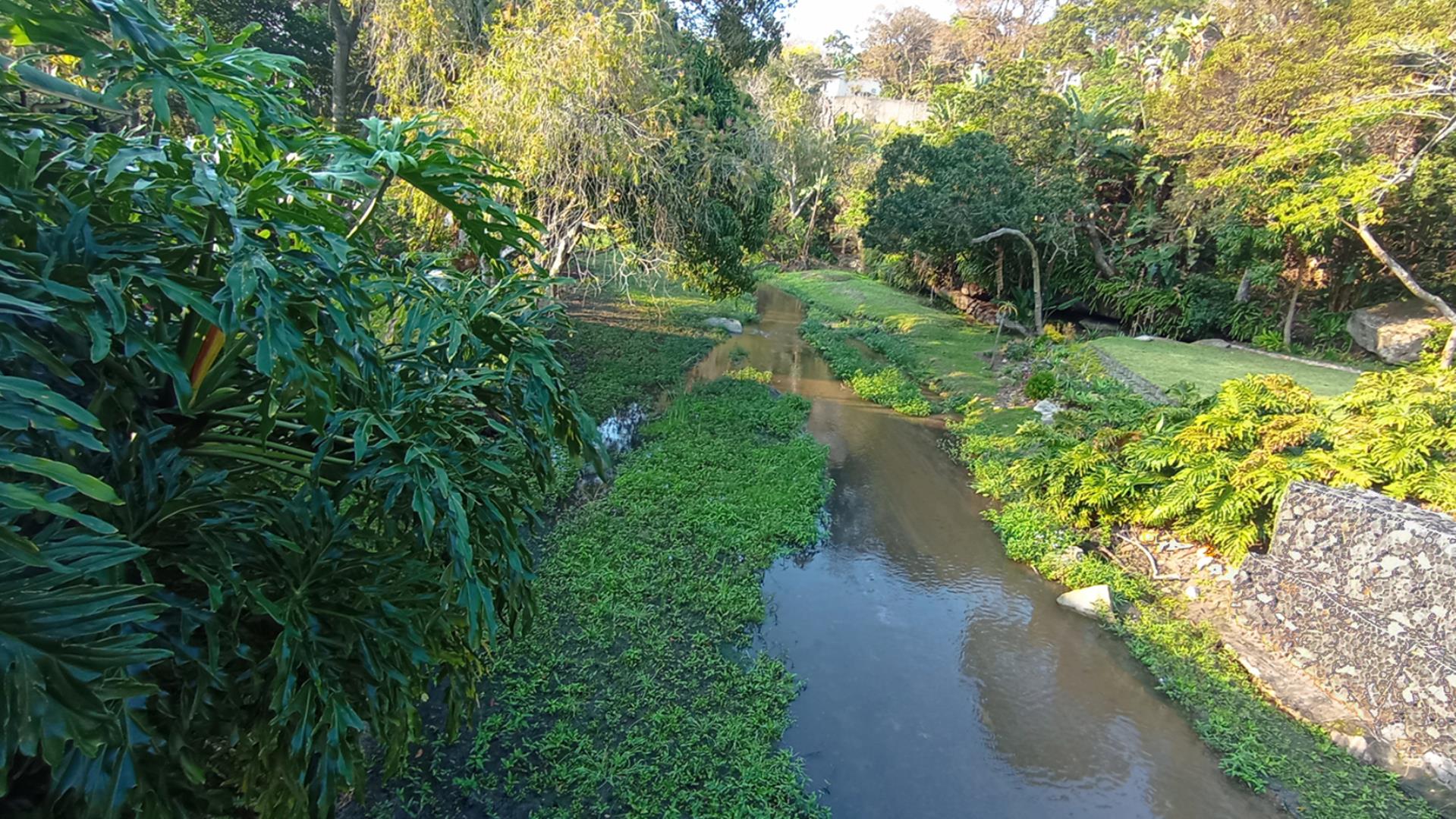 769242_river1new.jpg